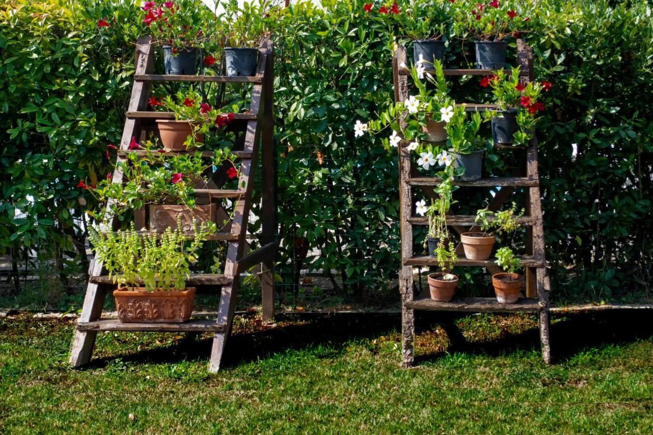 Tenuta Di Ghizzano Resort Buitenkant foto