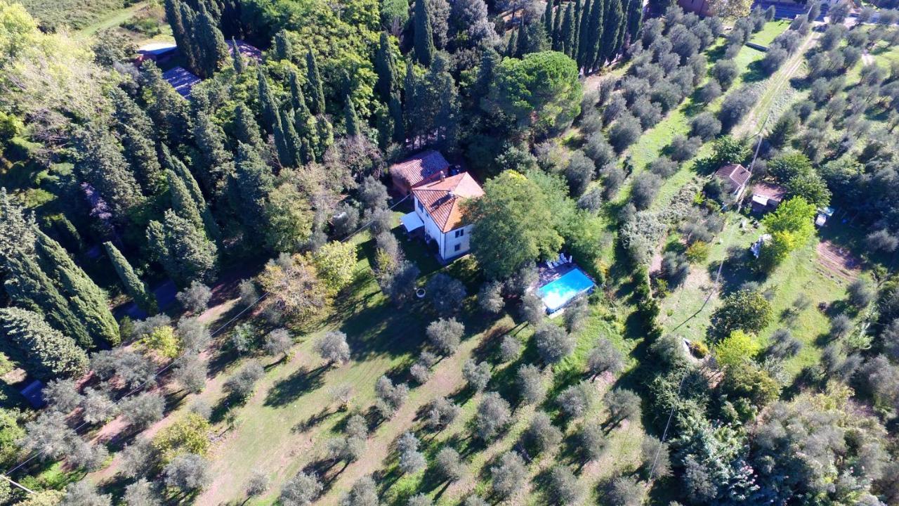 Tenuta Di Ghizzano Resort Buitenkant foto