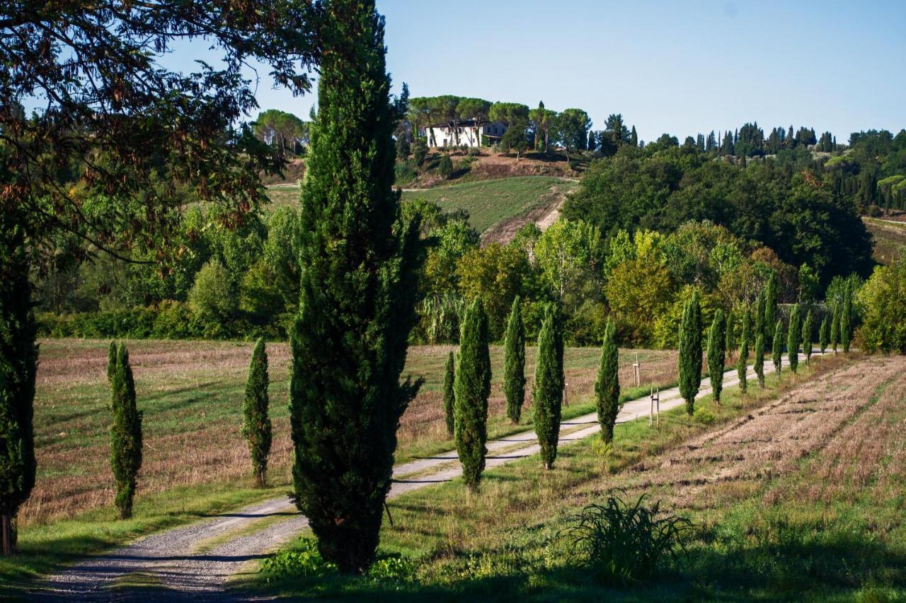 Tenuta Di Ghizzano Resort Buitenkant foto