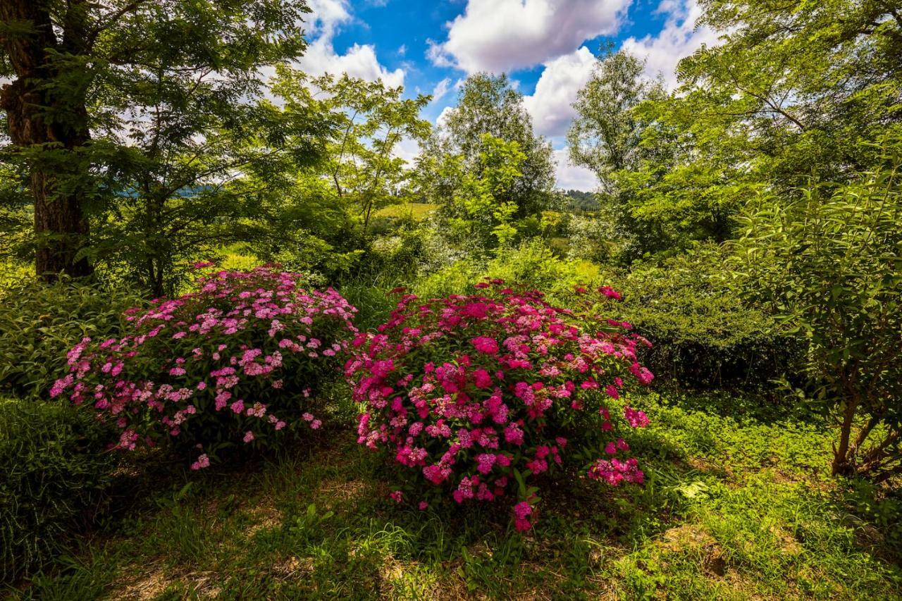 Tenuta Di Ghizzano Resort Buitenkant foto